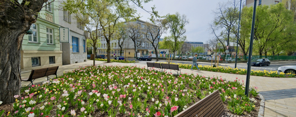 Attractive Cities Think Of Children Mmcité